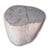 Petrified Wood Log Stool PF-2109 by Aire Furniture