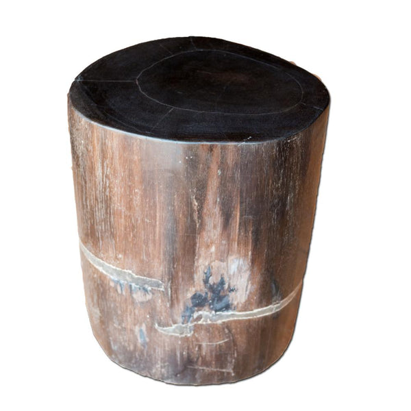 Petrified Wood Log Stool PF-2112 by Aire Furniture
