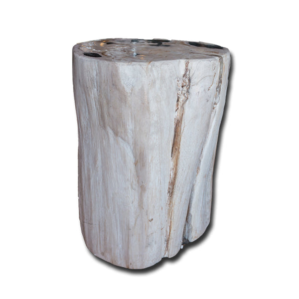 Petrified Wood Stool PF-2133 by Aire Furniture