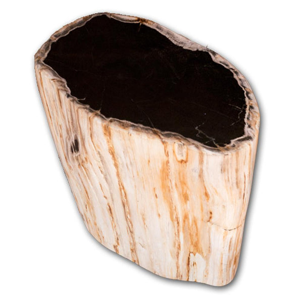 Petrified Wood Accent Stool- Cream/Black Core Rare Side Table by Aire Furniture