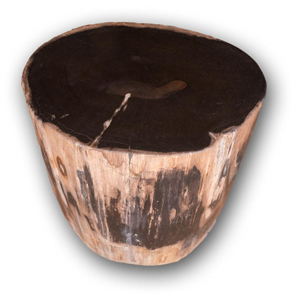 Petrified Wood Accent Stool- Rare Ivory Ring/Black Core Side Table by Aire Furniture