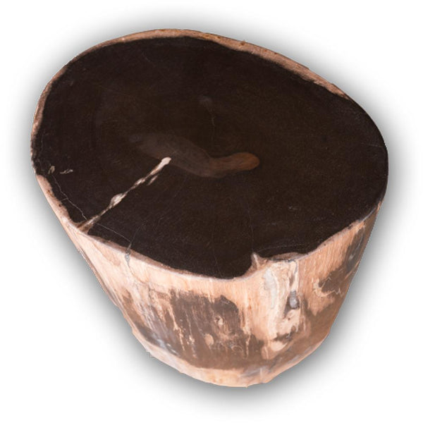 Petrified Wood Accent Stool- Rare Ivory Ring/Black Core Side Table by Aire Furniture