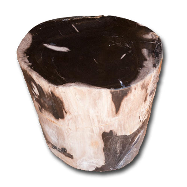 Petrified Wood Log Stool PF-2128 by Aire Furniture