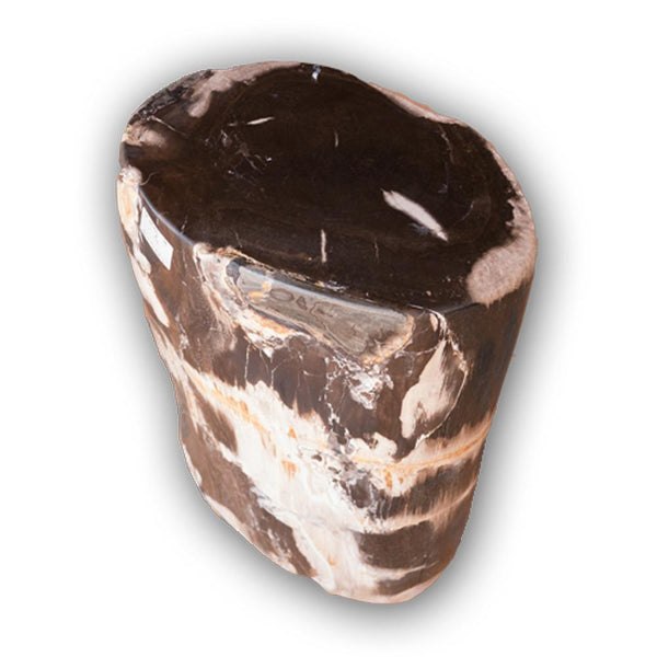 Petrified Wood Log Stool PF-2128 by Aire Furniture