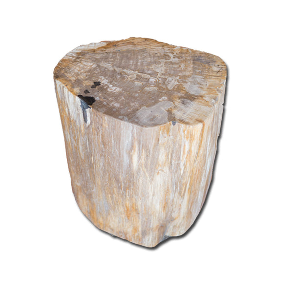 Petrified Wood Stool PF-2131 by Aire Furniture