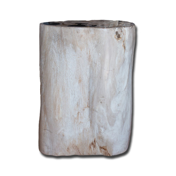 Petrified Wood Stool PF-2134 by Aire Furniture