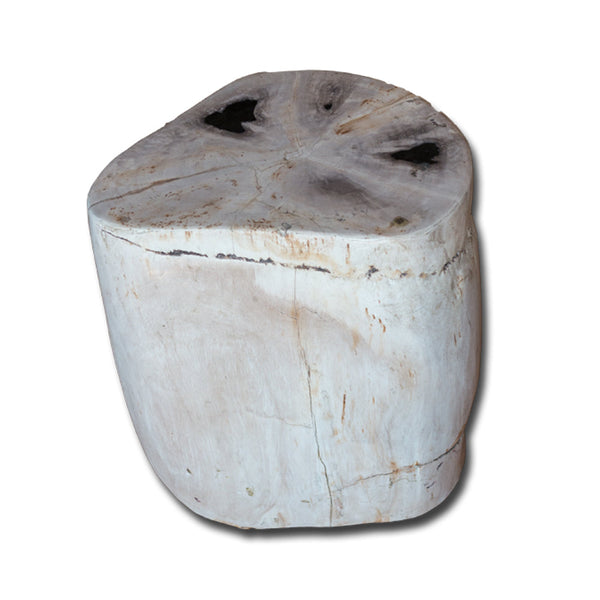 Petrified Wood Stool PF-2134 by Aire Furniture