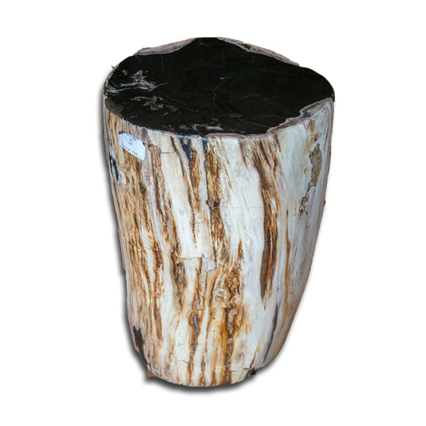 Petrified Wood Stool PF-2135 by Aire Furniture