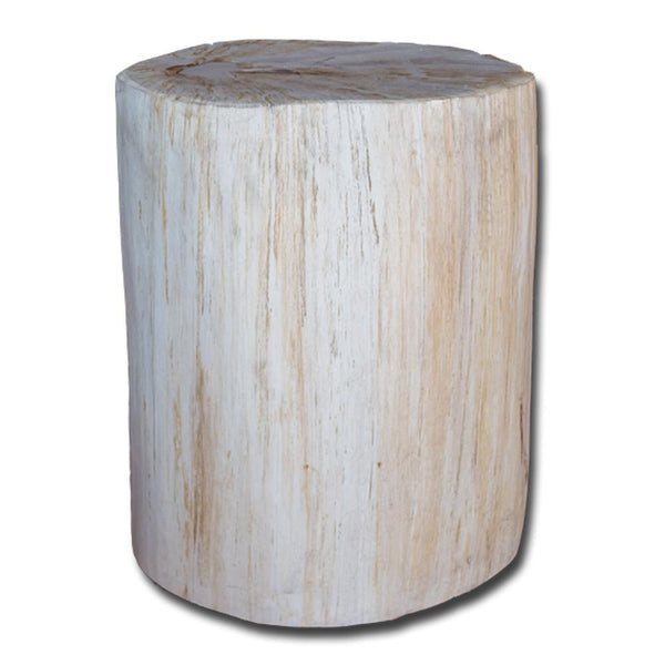 Petrified Wood Stool PF-2145 by Aire Furniture