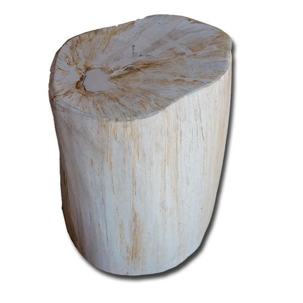Petrified Wood Stool PF-2145 by Aire Furniture