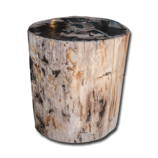 Petrified Wood Stool PF-2153 by Aire Furniture