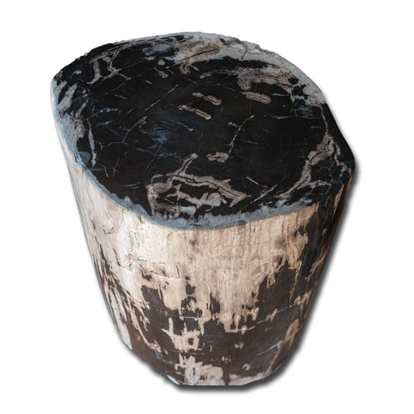 Petrified Wood Stool PF-2154 by Aire Furniture