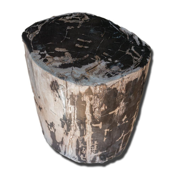 Petrified Wood Stool PF-2154 by Aire Furniture