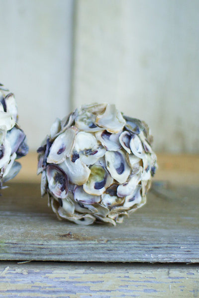 Kalalou Oyster Shell Sphere - Set of 4 | Modishstore | Home Accents