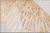 Bamboo Jellyfish Lamps-7