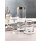 Zodax London Cocktail Martini Pitcher with Platinum Band | Beverage Dispensers | Modishstore