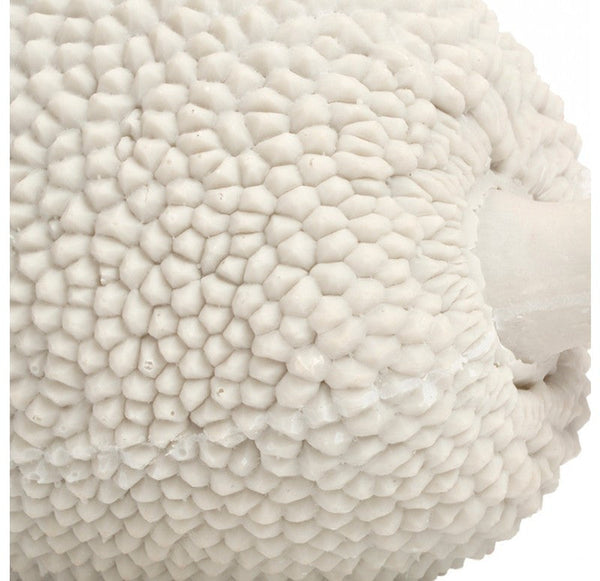 Gold Leaf Design Group Cream Jackfruit | Home Accents | Modishstore-3