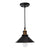 Moe's Home Collection Renata Pendant Lamp | Modishstore | Pendant Lamps