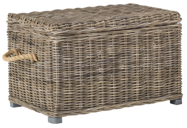 Safavieh Salim Wicker Trunk | Cabinets |  Modishstore 