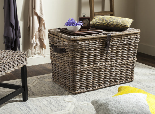 Safavieh Amancio Wicker Trunk | Cabinets |  Modishstore 