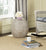 Safavieh Remi End Table | End Tables |  Modishstore  - 2