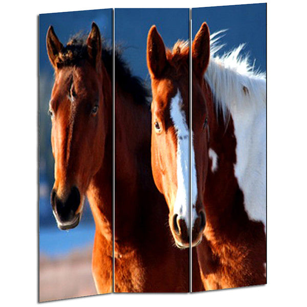 Screen Gems Horse Screen - SG-109 | Room Divider | Modishstore-2