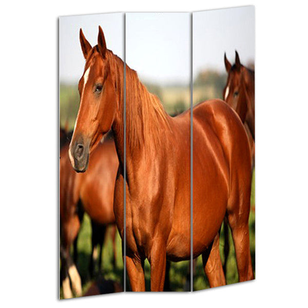 Screen Gems Horse Screen - SG-109 | Room Divider | Modishstore
