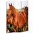 Screen Gems Horse Screen - SG-109 | Room Divider | Modishstore