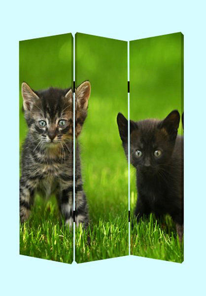 Screen Gems Curious Cat Screen - SG-110 | Room Divider | Modishstore-2