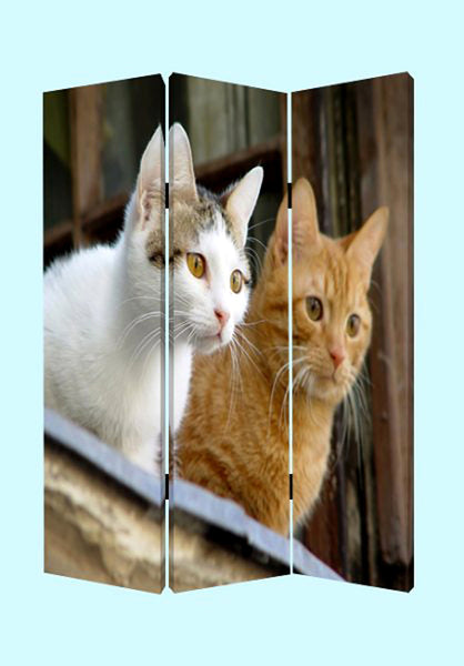 Screen Gems Curious Cat Screen - SG-110 | Room Divider | Modishstore