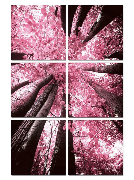 Vig Furniture  Modrest Blossom Trees 6-Panel Photo on Canvas | Modishstore | Wall Art