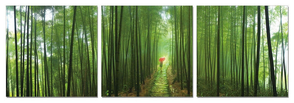 Vig Furniture Modrest Forest 3-Panel Photo on Canvas | Modishstore | Wall Art