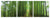 Vig Furniture Modrest Forest 3-Panel Photo on Canvas | Modishstore | Wall Art