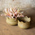 Kalalou Planters With Leaf Design, Metal (Set Of 2) | Modishstore | Planters, Troughs & Cachepots