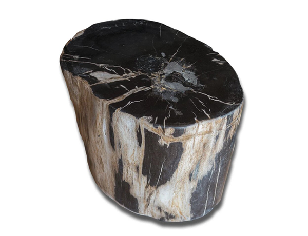 Petrified Wood Accent Stool- Black/Ivory/Brown by Aire Furniture