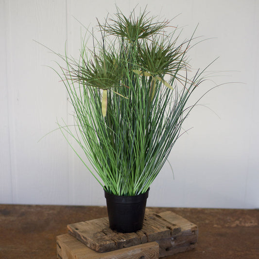 Kalalou 24" Grass With Five Heads With Plastic Pot - Set of 4 | Modishstore | Outdoor Planters, Troughs & Cachepots