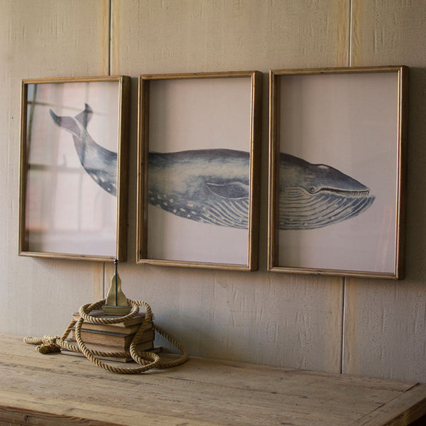 Kalalou Triptych Framed Whale Print Under Glass | Modishstore | Wall Art