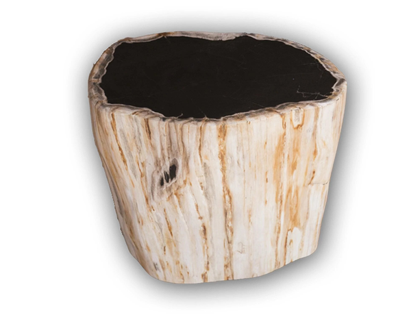 Petrified Wood Accent Stool- Cream/Black Core Rare Side Table by Aire Furniture