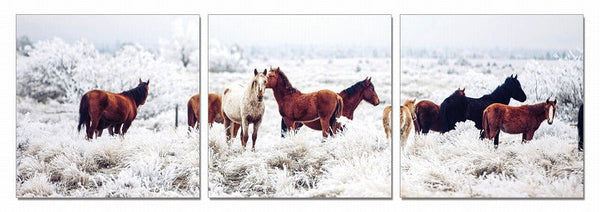 Vig Furniture Modrest Mustangs 3-Panel Photo On Canvas | Modishstore | Wall Art