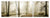 Vig Furniture Modrest Mist 3-Panel Photo On Canvas | Modishstore | Wall Art