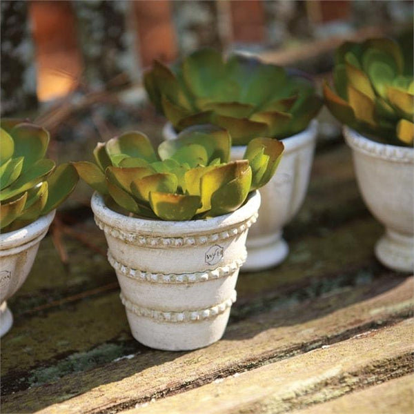 Wakefield Handmade Mini Pots By Napa Home & Garden |Modishstore | Outdoor Planters, Troughs & Cachepots | WH111  -3