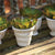 Wakefield Handmade Mini Pots By Napa Home & Garden |Modishstore | Outdoor Planters, Troughs & Cachepots | WH111  -3