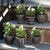 Wakefield Handmade Mini Pots By Napa Home & Garden |Modishstore | Outdoor Planters, Troughs & Cachepots | WH111  -8