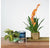Hex Planter Set of 4 by Gold Leaf Design Group | Planters, Troughs & Cachepots | Modishstore