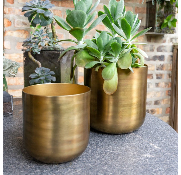 Capsule Cachepot 7.5