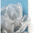 Rose Wire Mesh 28