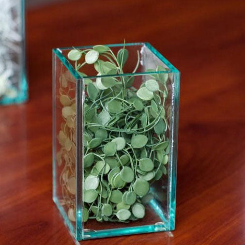 Glass Terrarium: Angel Vine Set of 4 by Gold Leaf Design Group | Glass Terrariums | Modishstore