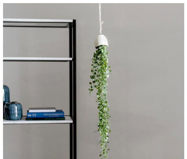 Hanging Resin Pod, Angel Vine ( Set of 3) by Gold Leaf Design Group | Planters, Troughs & Cachepots | Modishstore