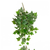 Ivy Bushes, Outdoor by Set of 12 Gold Leaf Design Group | Planters, Troughs & Cachepots | Modishstore