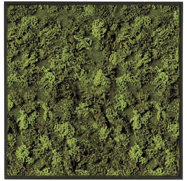 Green Wall-Art Moss Square by Gold Leaf Design Group | Green Wall | Modishstore